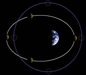 Orbita